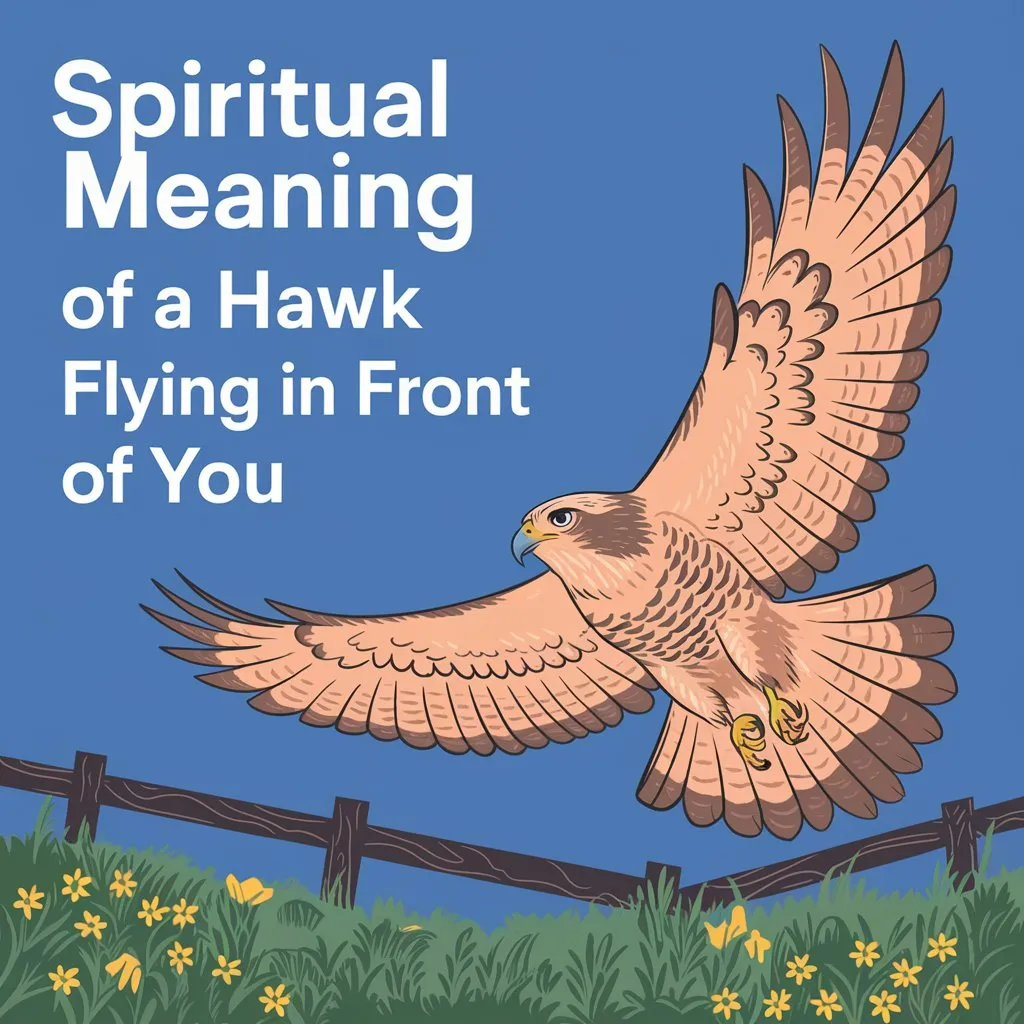 Spiritual Meaning of a Hawk Flying in Front of You