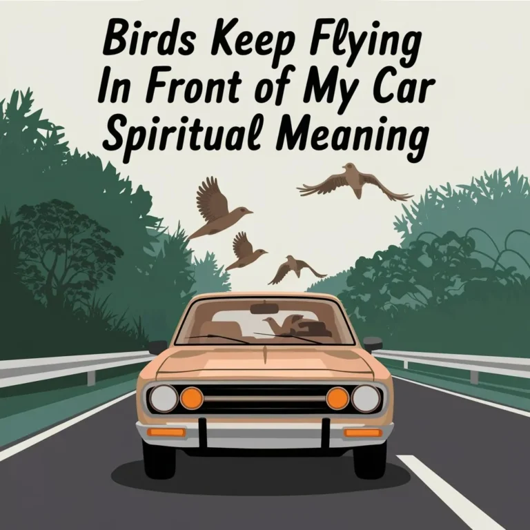 Birds Keep Flying in Front of My Car Spiritual Meaning