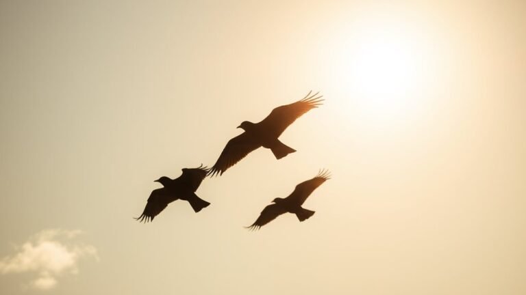 ominous birds signal change